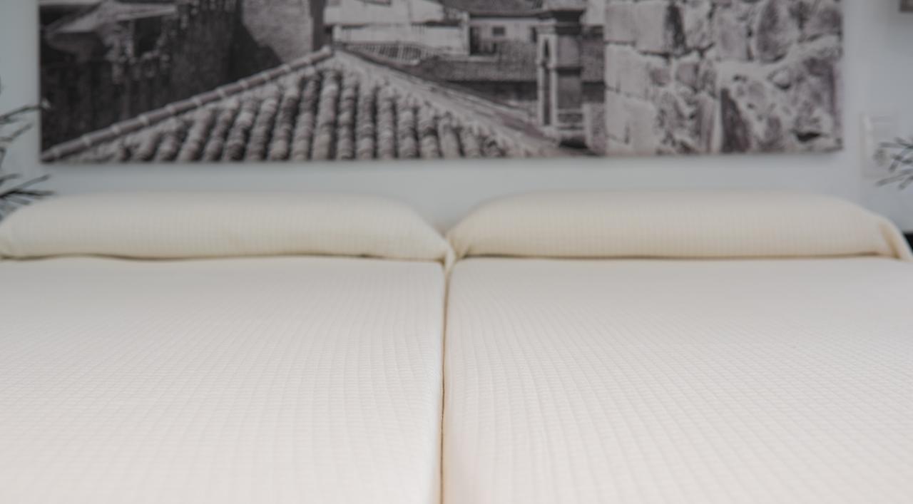 Apartamentos Turisticos Domus Seleqtia Plaza Mayor กาเซเรส ภายนอก รูปภาพ